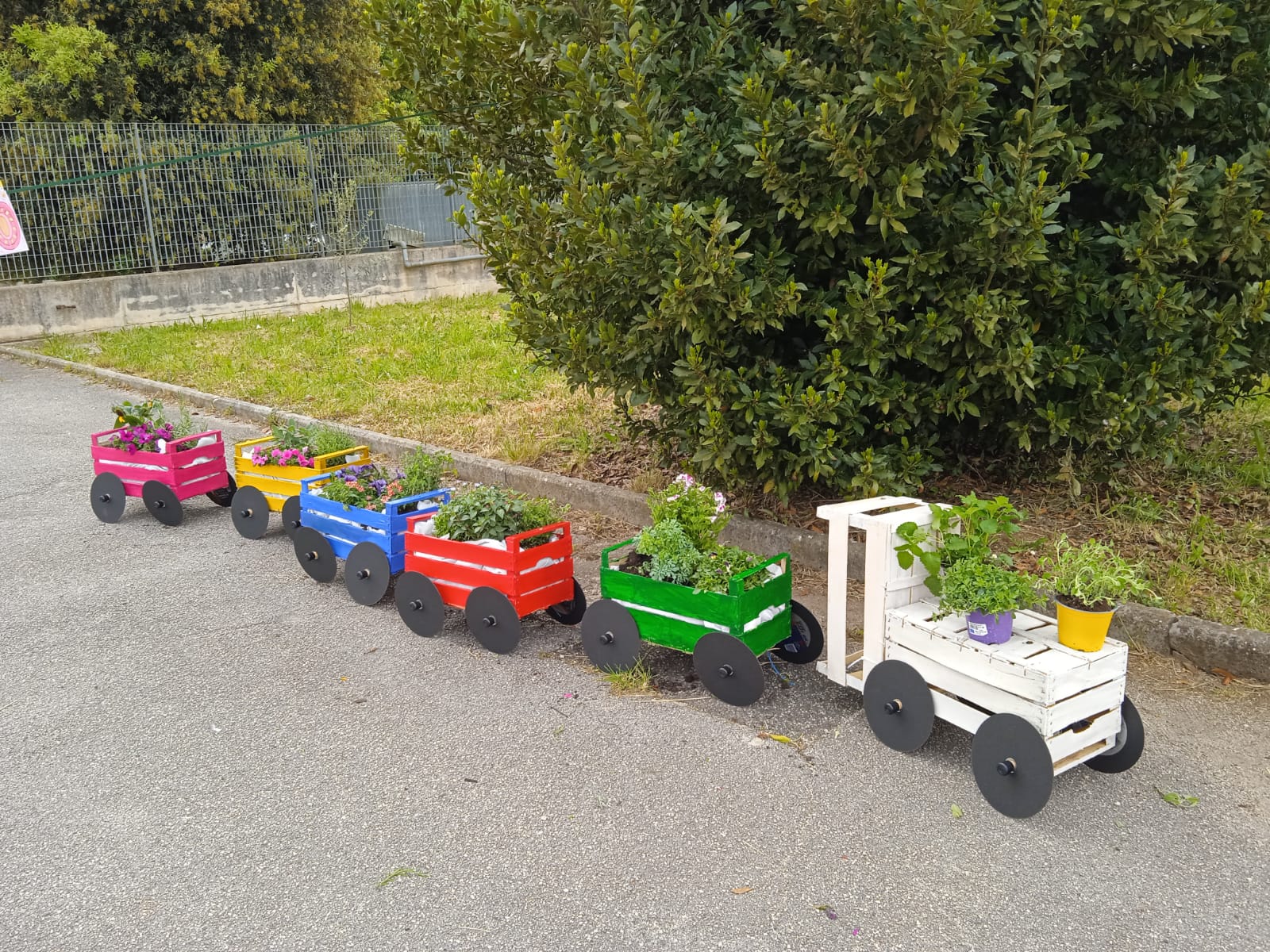 Inaugurazione Orto Cesarino, giornata mondiale della Terra, Scuola dell’Infanzia, San Cesareo.